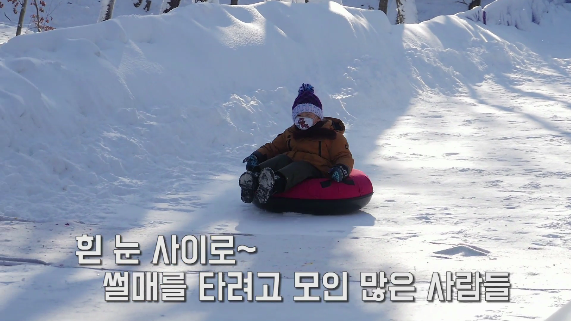 보령무궁화수목원 눈썰매장 개장